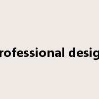 professional design是什么意思