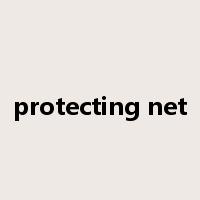protecting net是什么意思