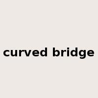 curved bridge是什么意思