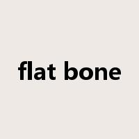 flat bone是什么意思