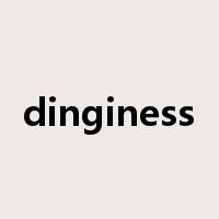 dinginess是什么意思