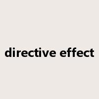 directive effect是什么意思