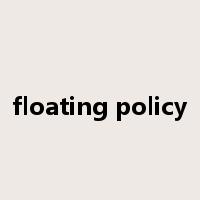 floating policy是什么意思