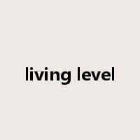 living level是什么意思
