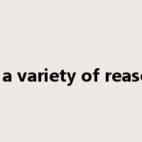 for a variety of reasons是什么意思