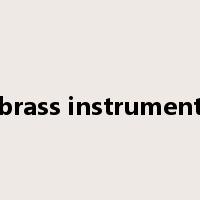brass instrument是什么意思