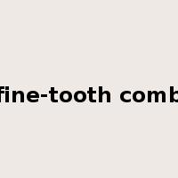 fine-tooth comb是什么意思