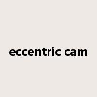 eccentric cam是什么意思