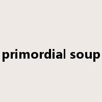 primordial soup是什么意思