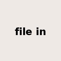 file in是什么意思