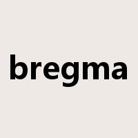 bregma是什么意思
