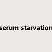 serum starvation是什么意思