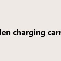burden charging carriage是什么意思