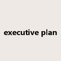 executive plan是什么意思
