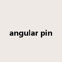 angular pin是什么意思