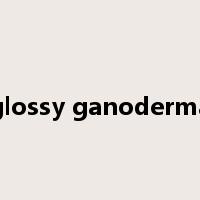 glossy ganoderma是什么意思