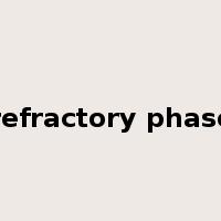 refractory phase是什么意思