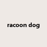 racoon dog是什么意思