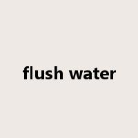 flush water是什么意思