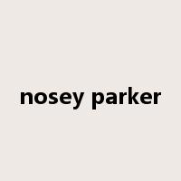 nosey parker是什么意思