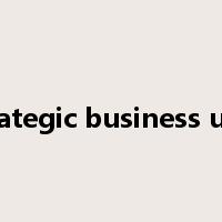 strategic business unit是什么意思