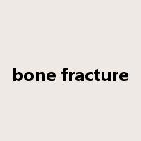 bone fracture是什么意思