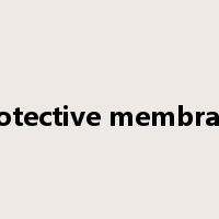 protective membrane是什么意思