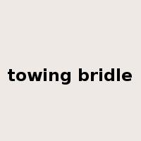 towing bridle是什么意思