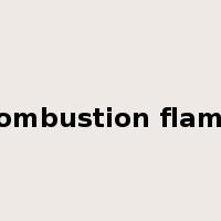 combustion flame是什么意思