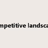 competitive landscape是什么意思