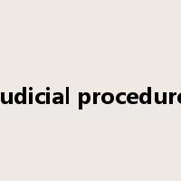 judicial procedure是什么意思