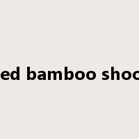 fried bamboo shoots是什么意思