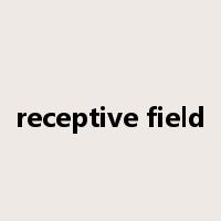receptive field是什么意思