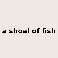 a shoal of fish是什么意思