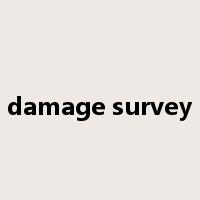 damage survey是什么意思