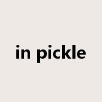 in pickle是什么意思