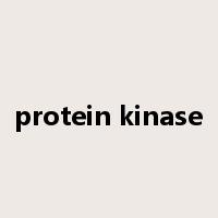 protein kinase是什么意思
