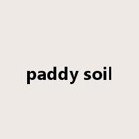 paddy soil是什么意思
