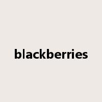 blackberries是什么意思