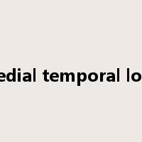 medial temporal lobe是什么意思