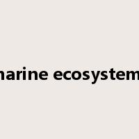marine ecosystems是什么意思