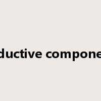 inductive component是什么意思