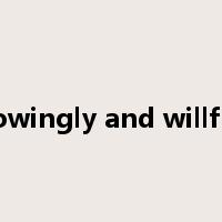 Knowingly and willfully是什么意思