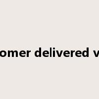 customer delivered value是什么意思