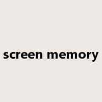 screen memory是什么意思