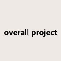 overall project是什么意思