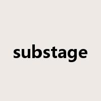 substage是什么意思