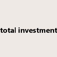 total investment是什么意思