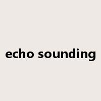echo sounding是什么意思