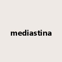 mediastina是什么意思